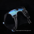 /msite/products/detail/productid/62407528/id/1503393.html